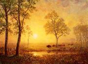 Albert Bierstadt Sunset on the Mountain painting